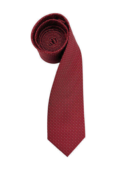 Red Dotted Tie